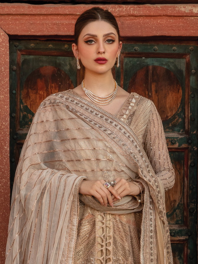 Rang Rasiya Shehnaiyan Embroidered Net Unstitched 3Pc Suit D-01 Roshni