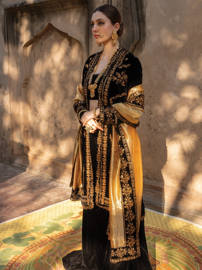 Rang Rasiya Shehnaiyan Embroidered Velvet Unstitched 3Pc Suit D-03 Heer