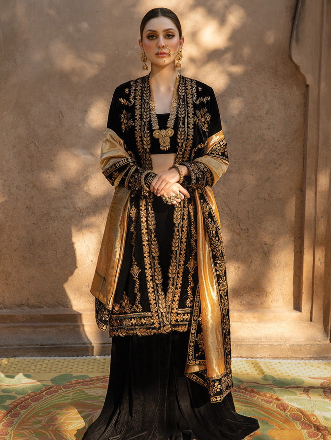 Rang Rasiya Shehnaiyan Embroidered Velvet Unstitched 3Pc Suit D-03 Heer