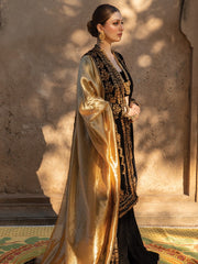 Rang Rasiya Shehnaiyan Embroidered Velvet Unstitched 3Pc Suit D-03 Heer
