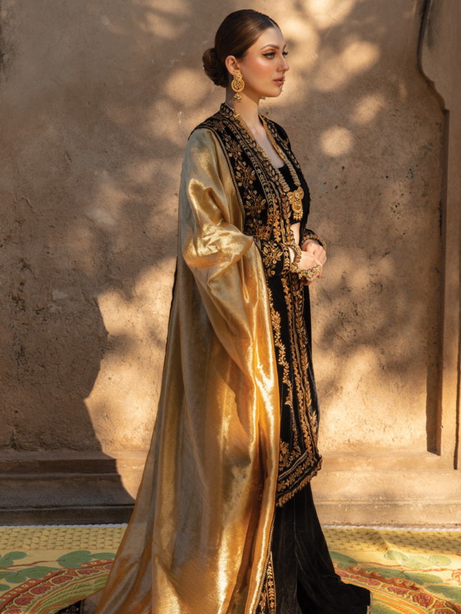 Rang Rasiya Shehnaiyan Embroidered Velvet Unstitched 3Pc Suit D-03 Heer