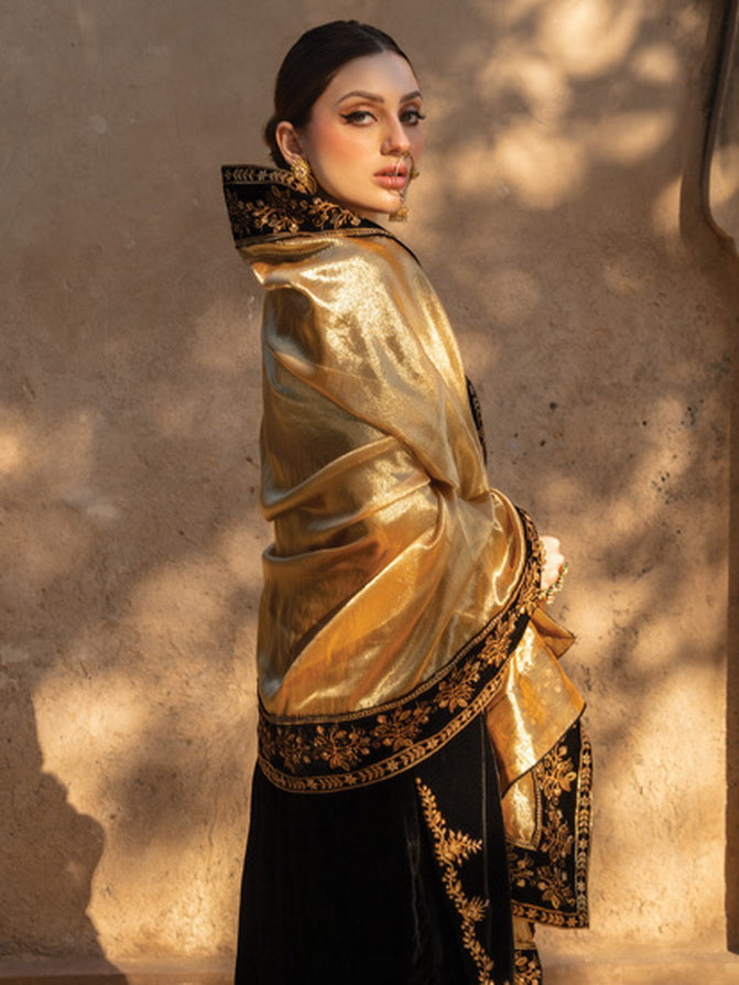 Rang Rasiya Shehnaiyan Embroidered Velvet Unstitched 3Pc Suit D-03 Heer