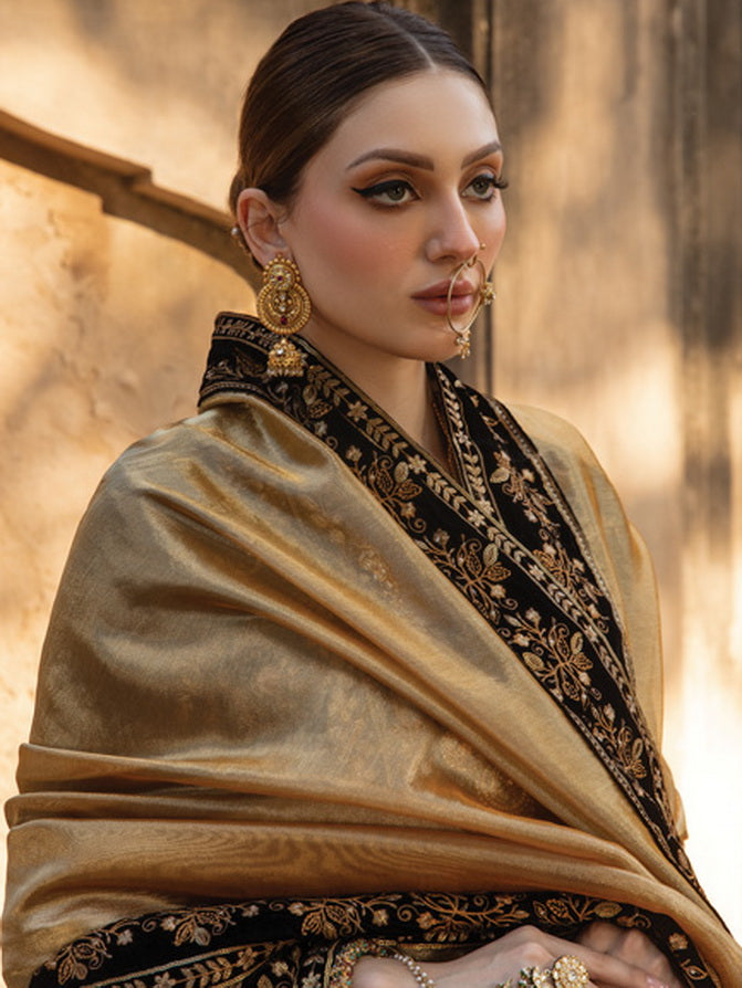Rang Rasiya Shehnaiyan Embroidered Velvet Unstitched 3Pc Suit D-03 Heer