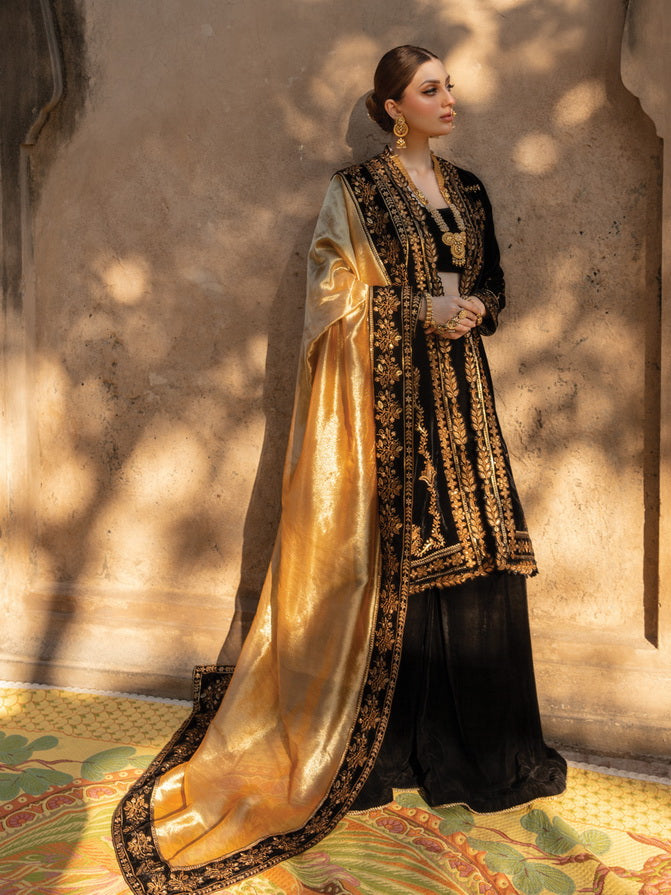 Rang Rasiya Shehnaiyan Embroidered Velvet Unstitched 3Pc Suit D-03 Heer