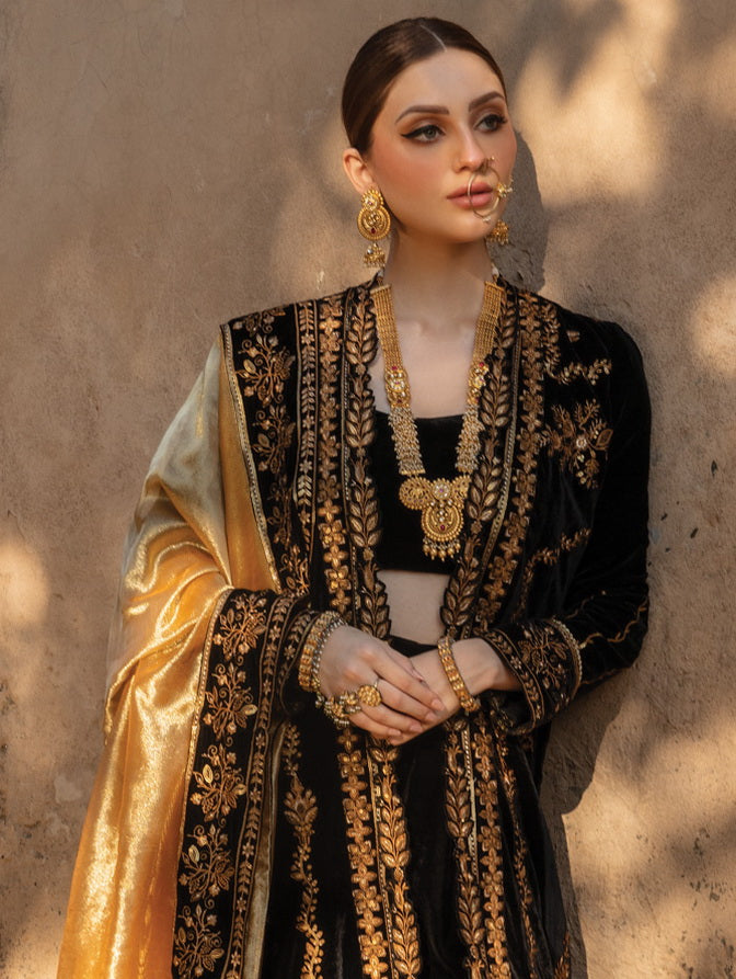 Rang Rasiya Shehnaiyan Embroidered Velvet Unstitched 3Pc Suit D-03 Heer