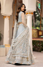 Zarin by Eleshia Unstitched Embroidered Net 3Pc Suit D-04 Nerisa