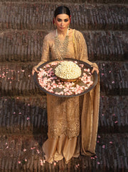 Rang Rasiya Shehnaiyan Embroidered Net Unstitched 3Pc Suit D-07 Zulaykha