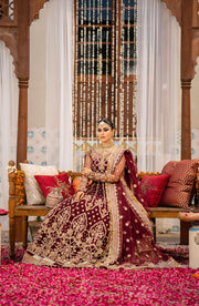 Zarin by Eleshia Unstitched Embroidered Net  3Pc Suit D-10 Avyanna