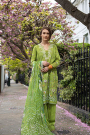 Sobia Nazir SN Basics Embroidered Lawn Unstitched 3Pc Suit D-03A