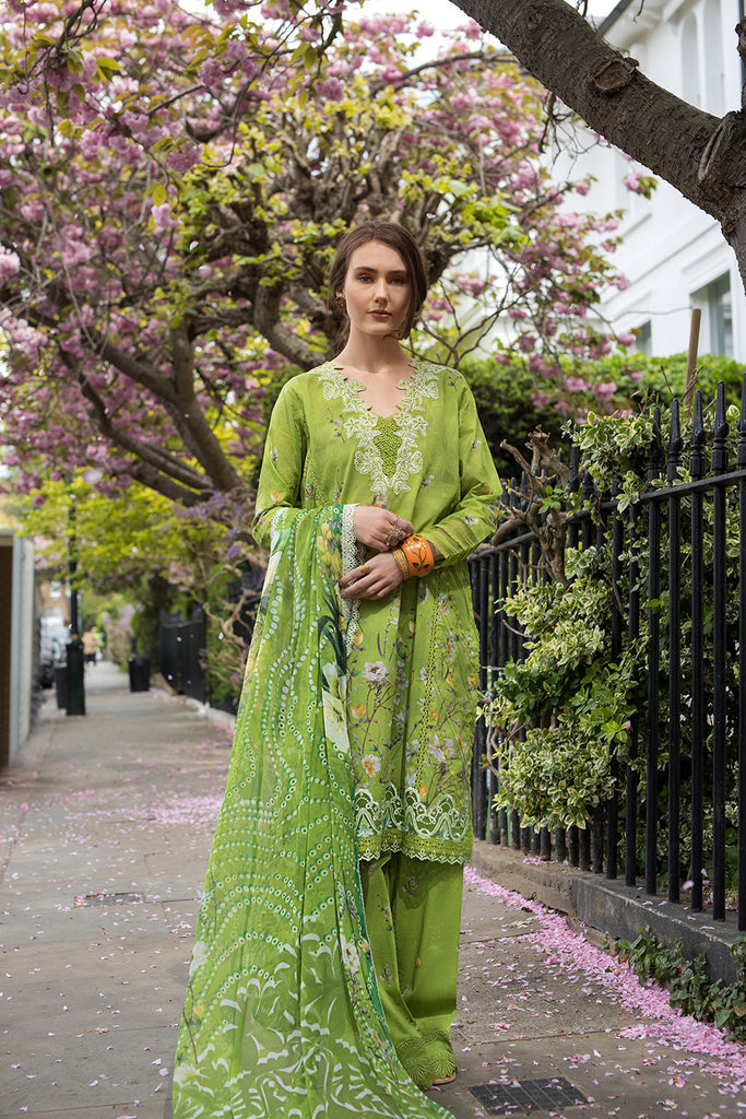 Sobia Nazir SN Basics Embroidered Lawn Unstitched 3Pc Suit D-03A