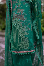Sobia Nazir SN Basics Embroidered Lawn Unstitched 3Pc Suit D-05B