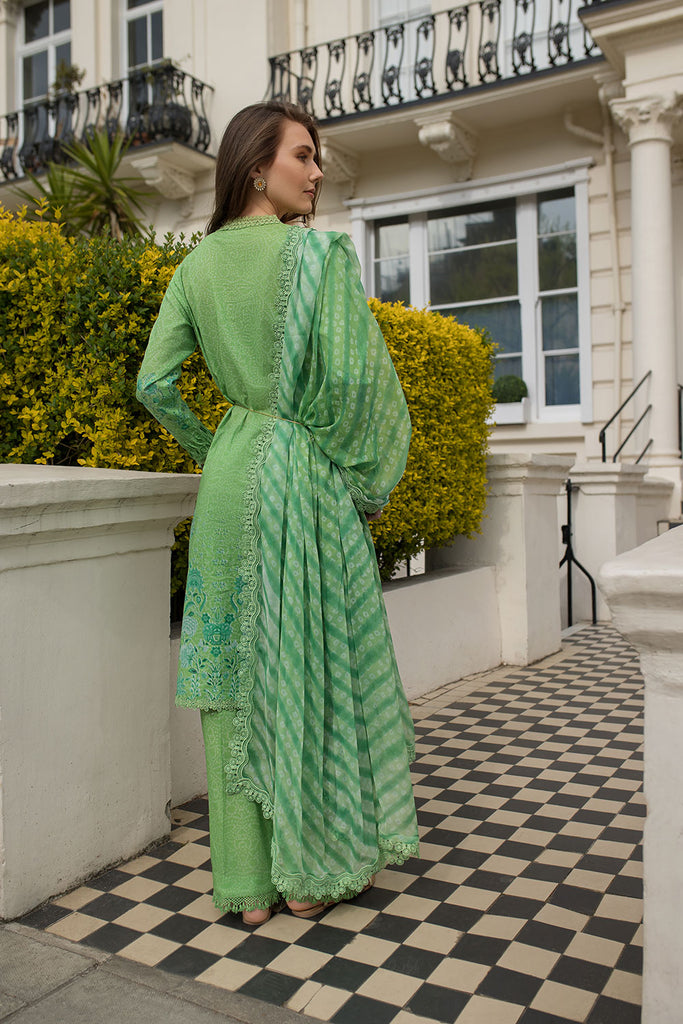 Sobia Nazir SN Basics Embroidered Lawn Unstitched 3Pc Suit D-07B