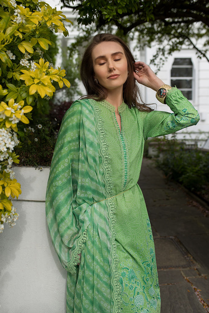 Sobia Nazir SN Basics Embroidered Lawn Unstitched 3Pc Suit D-07B