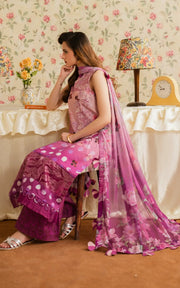 Asifa & Nabeel Meraki Vintage Embroidered Lawn Unstitched 3Pc Suit MVL25-11 Dosti