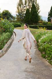 Farasha Sorine Summer Embroidered Lawn Unstitched 3Pc Suit - Dune Delight