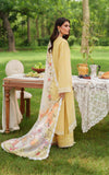 Asifa & Nabeel Eden Cambric Unstitched 3Pc Suit ECU25-10 Golden Dust