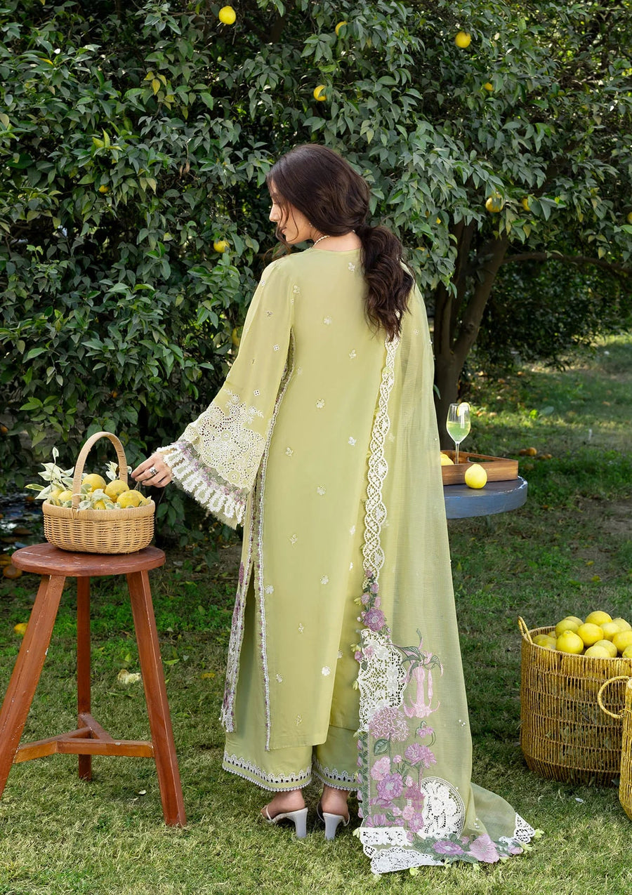 Elaf Premium Embroidered Luxury Lawn Unstitched 3Pc Suit ELY-08 PISTACHIA