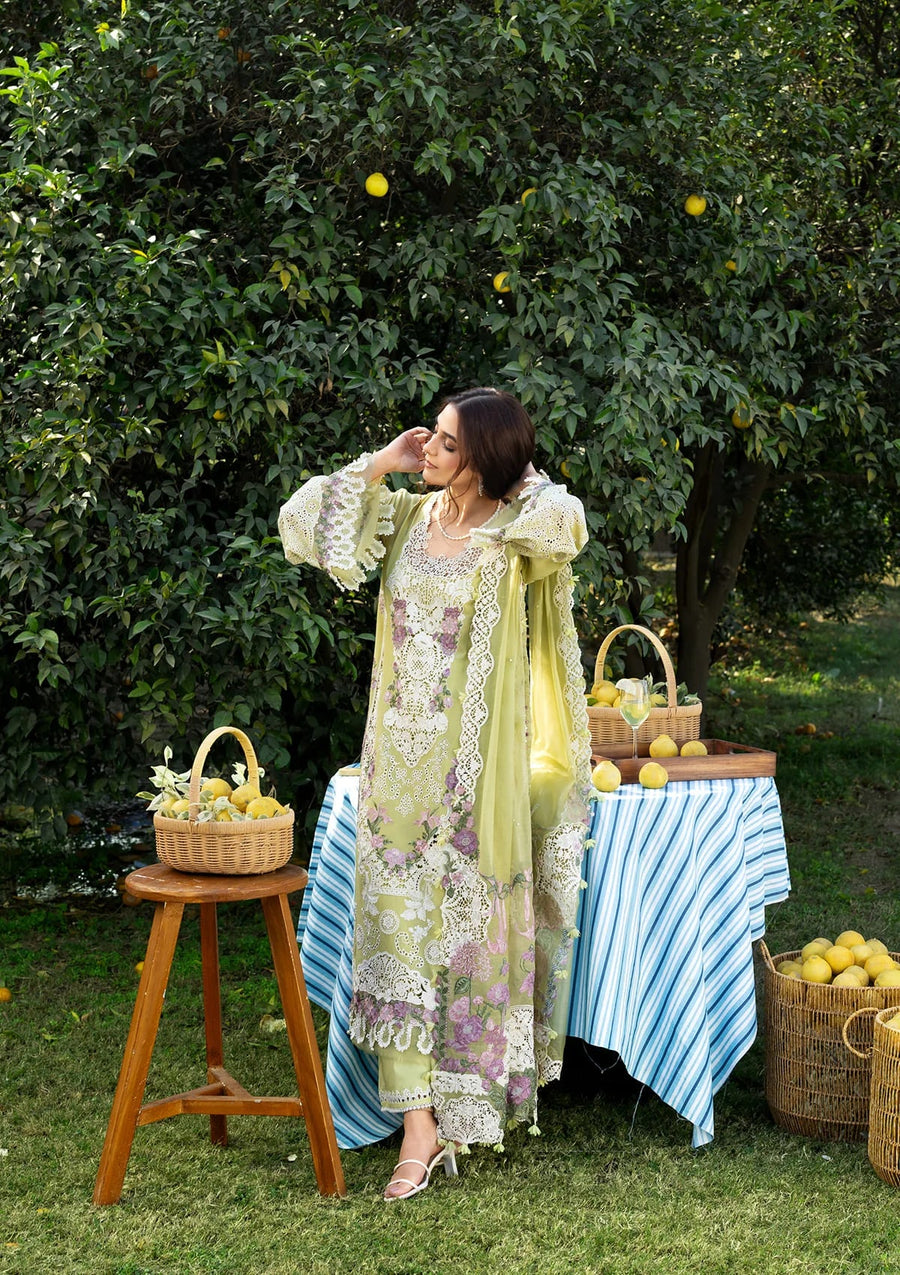 Elaf Premium Embroidered Luxury Lawn Unstitched 3Pc Suit ELY-08 PISTACHIA