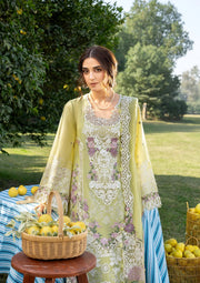 Elaf Premium Embroidered Luxury Lawn Unstitched 3Pc Suit ELY-08 PISTACHIA