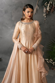 Zariya Anahira Ready to Wear Silk Organza 3Pc Suit ZB50081 ENA