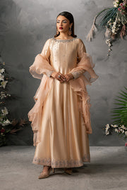 Zariya Anahira Ready to Wear Silk Organza 3Pc Suit ZB50081 ENA