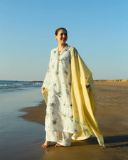 Hania amir wearing lawn dress by zara shahjahan