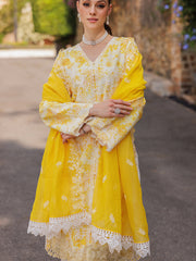 RajBari Nissa Floral Symphony Embroidered Lawn Unstitched 3Pc Suit D-01