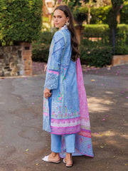 RajBari Nissa Floral Symphony Embroidered Lawn Unstitched 3Pc Suit D-02