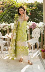 Asifa & Nabeel Gulkari Embroidered Lawn Unstitched 3Pc Suit GKL-03 Lemonade Dream