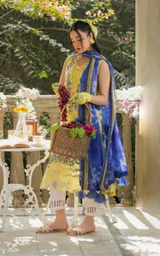 Asifa & Nabeel Gulkari Embroidered Lawn Unstitched 3Pc Suit GKL-15 Sunlit Breeze