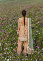 Hussain Rehar Festive Embroidered Korean Raw Silk Unstitched 3Pc Suit - GOHAR ARA