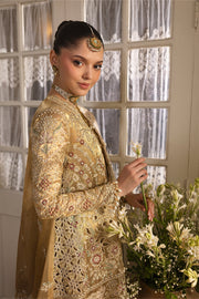 Afrozeh Dastangoi Embroidered Tissue Zari Unstitched 3Pc Suit AWS-03 GOLDVEIL