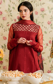 Asifa & Nabeel Meraki Vintage Embroidered Lawn Unstitched 3Pc Suit MVL25-20 Gulaal
