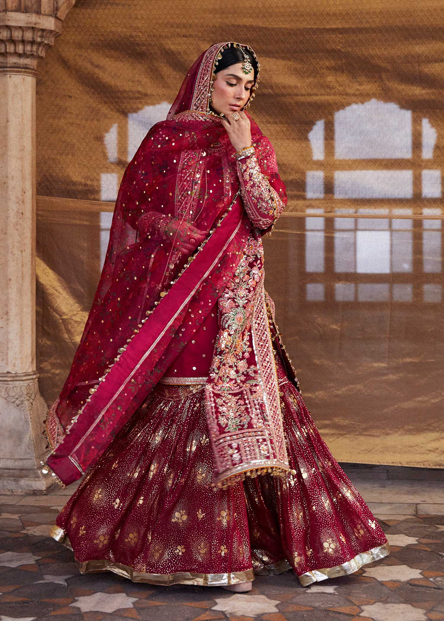 Hussain Rehar Luxury Festive Formal Organza Unstitched Dress - Gulal
