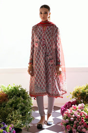 Sana Safinaz Mahay Embroidered Lawn Unstitched 2Pc Suit H231-017B-BG