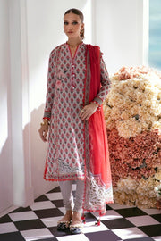 Sana Safinaz Mahay Embroidered Lawn Unstitched 2Pc Suit H231-017B-BG