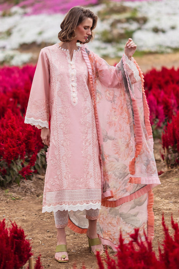 Mushq Hemline The Secerat Garden Unstitched Lawn 3Pc Suit HML24-1A Rosewood