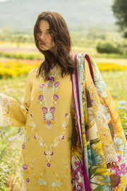 Mushq Hemline The Secerat Garden Unstitched Lawn 3Pc Suit - Faded Sunflower