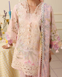 Mushq Hemline Soleil Prints Unstitched 3Pc Suit HLM26-11 Berry Creme