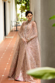 Mushq Inception Embroidered Net Unstitched 3Pc Suit D-01 Before Sunrise