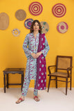 Regalia Identic Separates Printed Lawn Unstitched 3Pc Suit IDS23-02