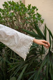 Iris by Jazmin Embroidered Lawn Unstitched 3Pc Suit IL-SS24-D2