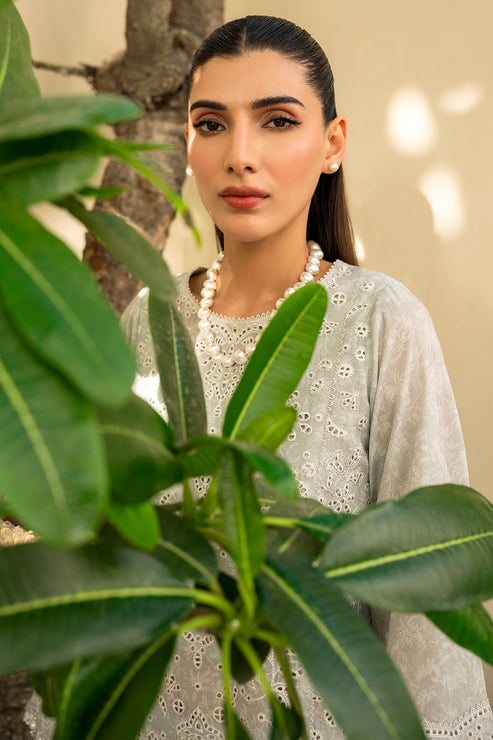 Iris by Jazmin Embroidered Lawn Unstitched 3Pc Suit IL-SS24-D2