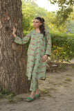 La Rosaa Basics Printed Khaddar Stitched 2Pc Suit - Florabeu