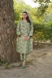 La Rosaa Basics Printed Khaddar Stitched 2Pc Suit - Florabeu