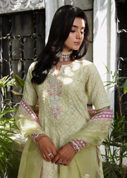 MOK Rang e Noor Embroidered Grip 3Pc Suit Nargis - Yellow