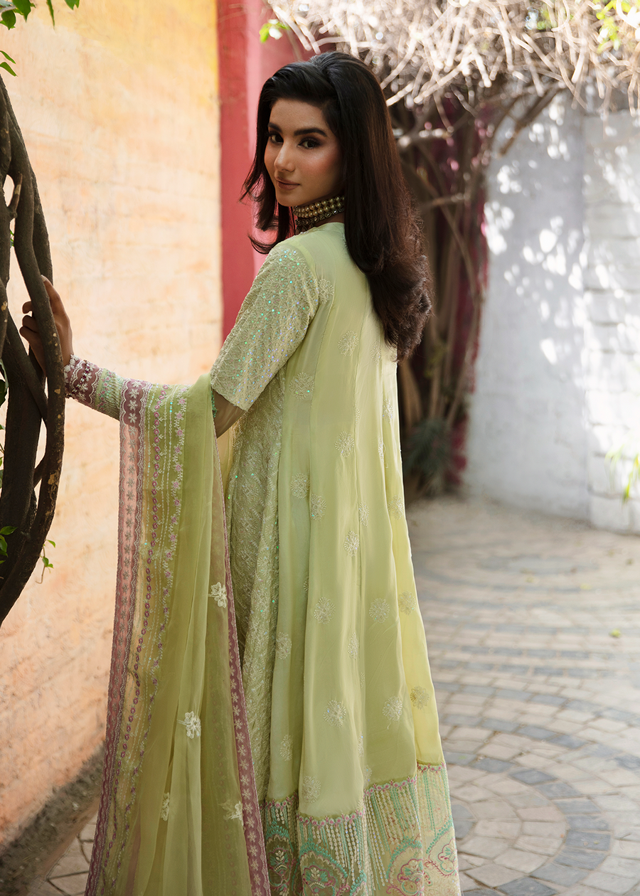 MOK Rang e Noor Embroidered Grip 3Pc Suit Nargis - Yellow