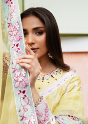 MOK Rang e Noor Embroidered Grip 3Pc Suit Kanwal - Yellow