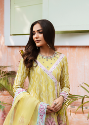 MOK Rang e Noor Embroidered Grip 3Pc Suit Kanwal - Yellow