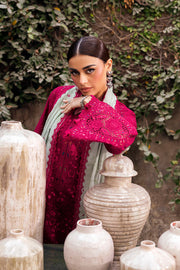 Shahkaar by Jazmin Embroidered Lawn Unstitched 3Pc Suit SL26-D04